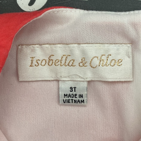 ISABELLA & CHLOE  Toddler Girl Dress - size 3T - coral and gray - Picture 5 of 7